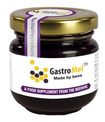 Gastro Mel Honey ( LifeMel Honey Range) 120gms