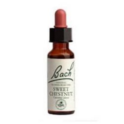 Bach Flower Sweet Chestnut - 20ml