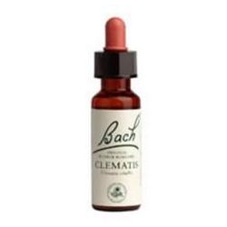 Bach Flower Clematis 20ml.