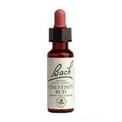 Bach Flower Chestnut Bud  20ml