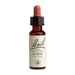 Bach Flower Gorse 20ml