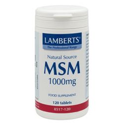 Lamberts MSM 1000mg 120's