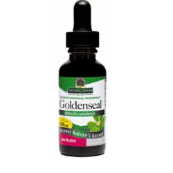Natures Answer Golden Seal Root Alcohol Free 30ml