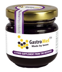 Gastro Mel 120gms from Life Mel Honey Range
