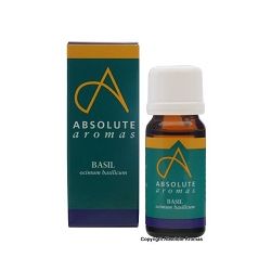 Absolute Aromas Basil Oil 10ml